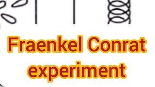 Fraenkel Conrat Experiment botany biology csirnet ssblectureship Virus [upl. by Armand]