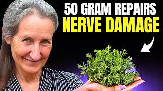 THEY HID THIS 7 Herbs That REVERSE Nerve Damage  Barbara ONeill [upl. by Nywled]