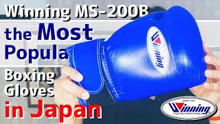 Winning MS200B REVIEW  the Most Popular Boxing Glove in Japan [upl. by Freddi413]