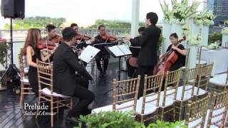 Singapore Wedding Solemnisation Ceremony at The Lantern Rooftop Fullerton Bay Hotel [upl. by Valenta482]