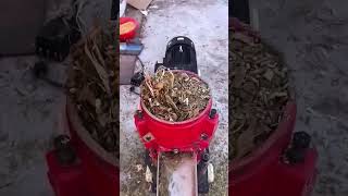 Electric poultry chicken feeds grass pellet making machine diesel cattle pelletizer machine [upl. by Malliw]