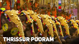 Thrissur Pooram  A Feast for the Eyes  360° Experience  Temple Festivals  Kerala Tourism [upl. by Dnalwor310]