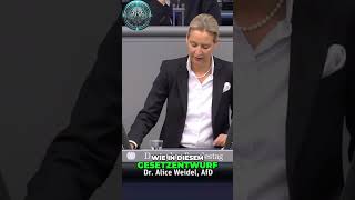 🔥 Alice Weidel Alarmierende Angriffe auf Bürgerrechte im neuen Gesetz 🚨📜🛡️ [upl. by Navis]