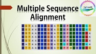 Multiple Sequence Alignment [upl. by Fried440]