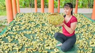 Harvest A Lot Of Silkworm Goes To Countryside Market Sell  Farm Life  Phuong Free Bushcraft [upl. by Tedmann]