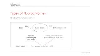 Choosing the right fluorophore for your experiments [upl. by Felix]