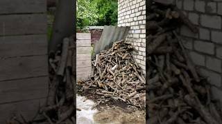 Beautiful storage of firewood gardening sots lifehack tools respect [upl. by Eboh]