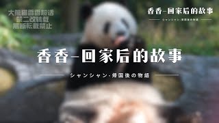 シャンシャン帰国後の物語（シャンシャン中国一般公開1周年記念動画最終完全版） シャンシャン [upl. by Husha]