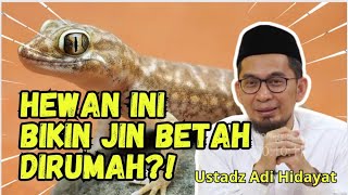 TERNYATA SEPERTI INI HUKUM MEMBUNUH CICAK‼️PENJELASAN USTADZ ADI HIDAYAT [upl. by Nodlehs]