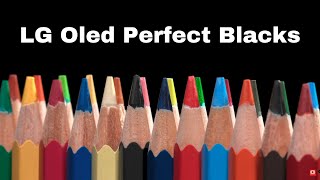 LG OLED 2021  Art UHD 4K HDR Demo  Perfect Blacks  Best Contrast Show Off [upl. by Sokin]