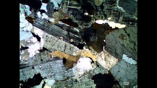 Thin section 2 [upl. by Cost]