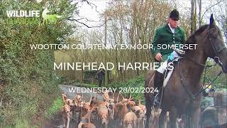 Minehead Harriers on the Exmoor National Park [upl. by Annaigroeg832]