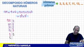 DECOMPOSIÇÃO DE NÚMEROS NATURAIS 01 [upl. by Ahsienor345]