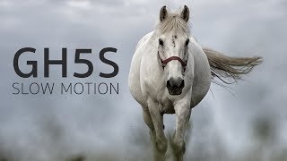 Panasonic Lumix GH5S  DJI RoninS  240fps SlowMotion Footage [upl. by Caldwell]