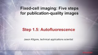 15 Autofluorescence–Fixed cell imaging 5 steps for publicationquality images [upl. by Pettit]