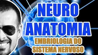 Embriologia do Sistema Nervoso Central e Periférico  Neuroanatomia  VideoAula 069 [upl. by Nythsa817]