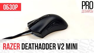 Обзор Razer Deathadder V2 Mini Лучшая эргономика для маленьких рук [upl. by Haididej984]