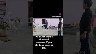 Leo The Jonty Rhodes labravlogs viralvideo doglover [upl. by Eleph]