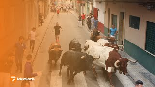 Un fallecido y un herido por una cornada en los bous al carrer de la Pobla de Farnals [upl. by Saerdna25]