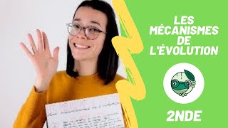 Tutoriels en SVT Mise en évidence de la dérive génétique avec EduModèle et le système ABO [upl. by Mauralia59]