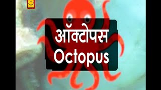 Octopus Hindi  ऑक्टोपस [upl. by Noyek]