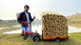 mf 385 tractor power test  handmade mini mf tractor  sugarcane trolley video  Nadeem Gola [upl. by Anertak]