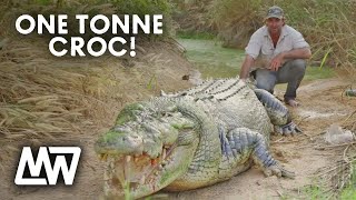 Matt Wright Feeds A Huge ONETONNE CROC called Tripod  Matt Wright [upl. by Lehacim199]