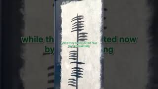 How we recreated Ogham Ireland’s Ancient Written Language to this Ogham Bless This House gift [upl. by Lichtenfeld]