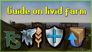 Livid Farm 2024 Guide [upl. by Hobey415]