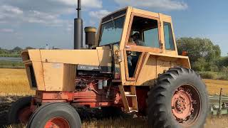 1970 Case Agri King Plowing Hitterdal MN 2023 [upl. by Lidstone]