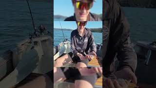 Worlds SMALLEST Jewfish fishing boating fish outdoors hawkesbury [upl. by Nelrah]