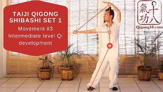 Taiji Qigong Shibashi set 1 movement 3 [upl. by Rebme]