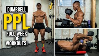 Full Week Of Workouts Push Pull amp Legs Dumbbell amp Bench 1 [upl. by Ymaral]