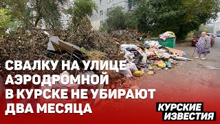 «Просто безобразие» Свалку на улице Аэродромной в Курске не вывозят два месяца [upl. by Ecinreb]