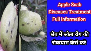 Apple Fruit Scab Diseases Treatment apple scab सेब में स्केब रोग की रोकथाम केसे करे [upl. by Jarv574]