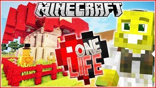 Lovely Llamas  Minecraft One Life  Ep16 [upl. by Atnicaj743]