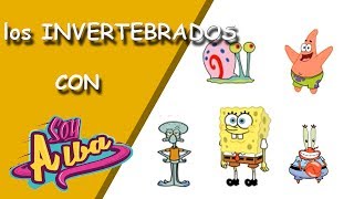 Los animales INVERTEBRADOS para niños primaria con Bob Esponja [upl. by Burgwell]