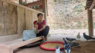 Take care of pets and grow vegetables  Lý Thị Viện [upl. by Naitsabes]