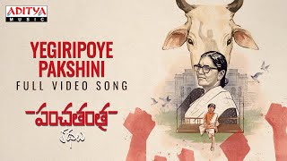 Yegiripoye Pakshini Full Video Song  Panchatantra Kathalu  Ganganamoni Shekar  Kamran  Mangli [upl. by Milicent]