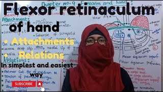 Anatomy of flexor retinaculum of hand  attachments and relations  in simplest and easiest way [upl. by Carberry]