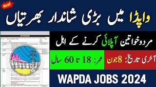 Wapda jobs 2024 online apply  Jobs in pakistan 2024  latest government jobs 2024 [upl. by Nyved138]