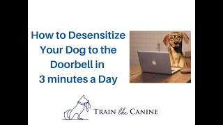 How to Desensitize Your Dog to the 👻DOORBELL👻 [upl. by Eilhsa329]