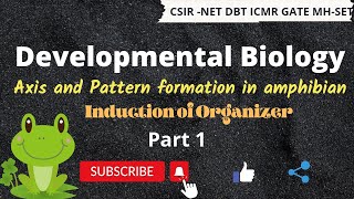 Axes and Pattern formation in Amphibian l Induction of Organizer l Developmental Biology l Part 1 [upl. by Ludwigg]