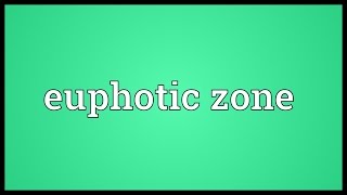 Euphotic zone Meaning [upl. by Chapa]