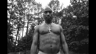 FREE Tupac Type Beat  Gangsta Party  Hip Hop Instrumental  Old School Hip Hop Beat [upl. by Towney201]