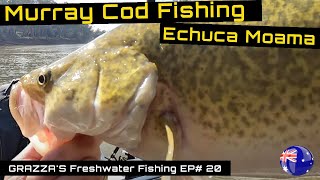 Bait Fishing for Murray Cod EchucaMoama May 2022  Grazzas Freshwater Fishing Episode 20 [upl. by Follmer380]