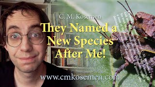 They Named a New Species After Me 🦗Naskreckiana kosemeni🦗 [upl. by Teiluj950]