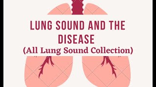 All Lung Sounds Collection With Disease Very Easy amp Learn Fast [upl. by Standush]