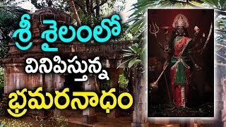 శ్రీశైలం అడవుల్లో తిరుగుతున్నా బ్రమరంబా దేవిIn Srisailam Lord shiva amp Bramaramba Devi Shown Miracle [upl. by Brenk]