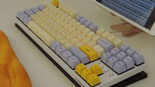 Durgod K320 lubed brown switches keyboard typing sound [upl. by Laurena660]